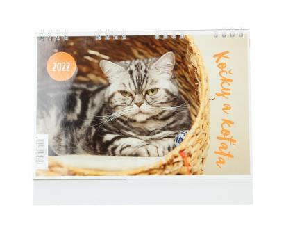 Kalendář 2022 Kočky a koťata 22 x 18 cm