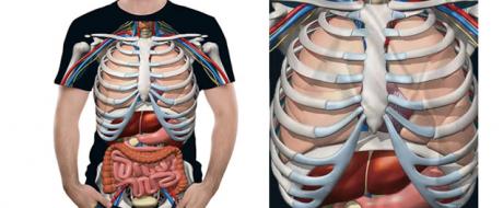 Tričko XXXL pro Muže s 3D tiskem vnitřních orgánů