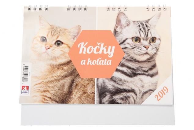 Kočky a koťata Kalendář 2019 22 x 18 cm