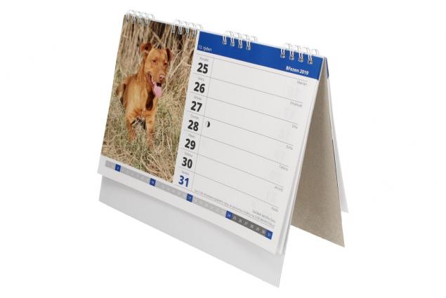 Psi a štěňata Kalendář 2019 22 x 18 cm