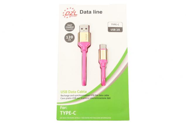 Nabíjecí kabel DZL 2A USB/ USB typ-C 120 cm