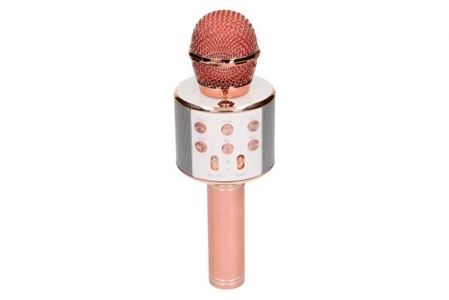 Foto 7 - Karaoke mikrofon WS-858
