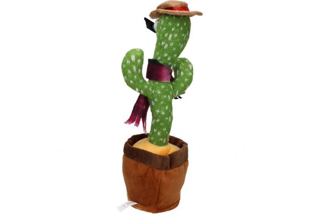 Foto 6 - Tančící kaktus Dancing Music 3 Songy s brýlemi a kloboukem