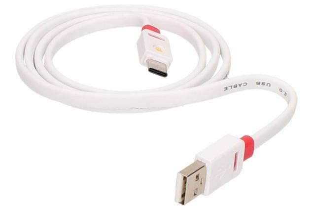 Foto 5 - Premium Flat USB-C Cable 1m Griffin
