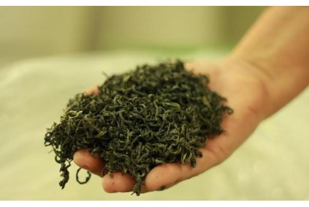 Zelený čaj Che Thái Nguyen 200g