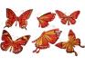 3D samolepky na zeď červení motýli 6ks