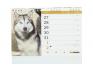 Kalendář 2022 Psi a štěňata 22 x 18 cm