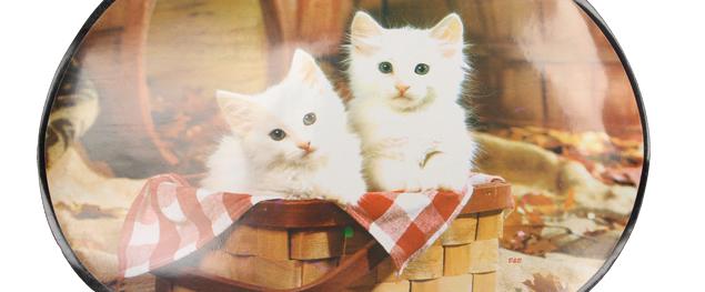 Oválné prostírání Dvě bílá koťata v ošatce