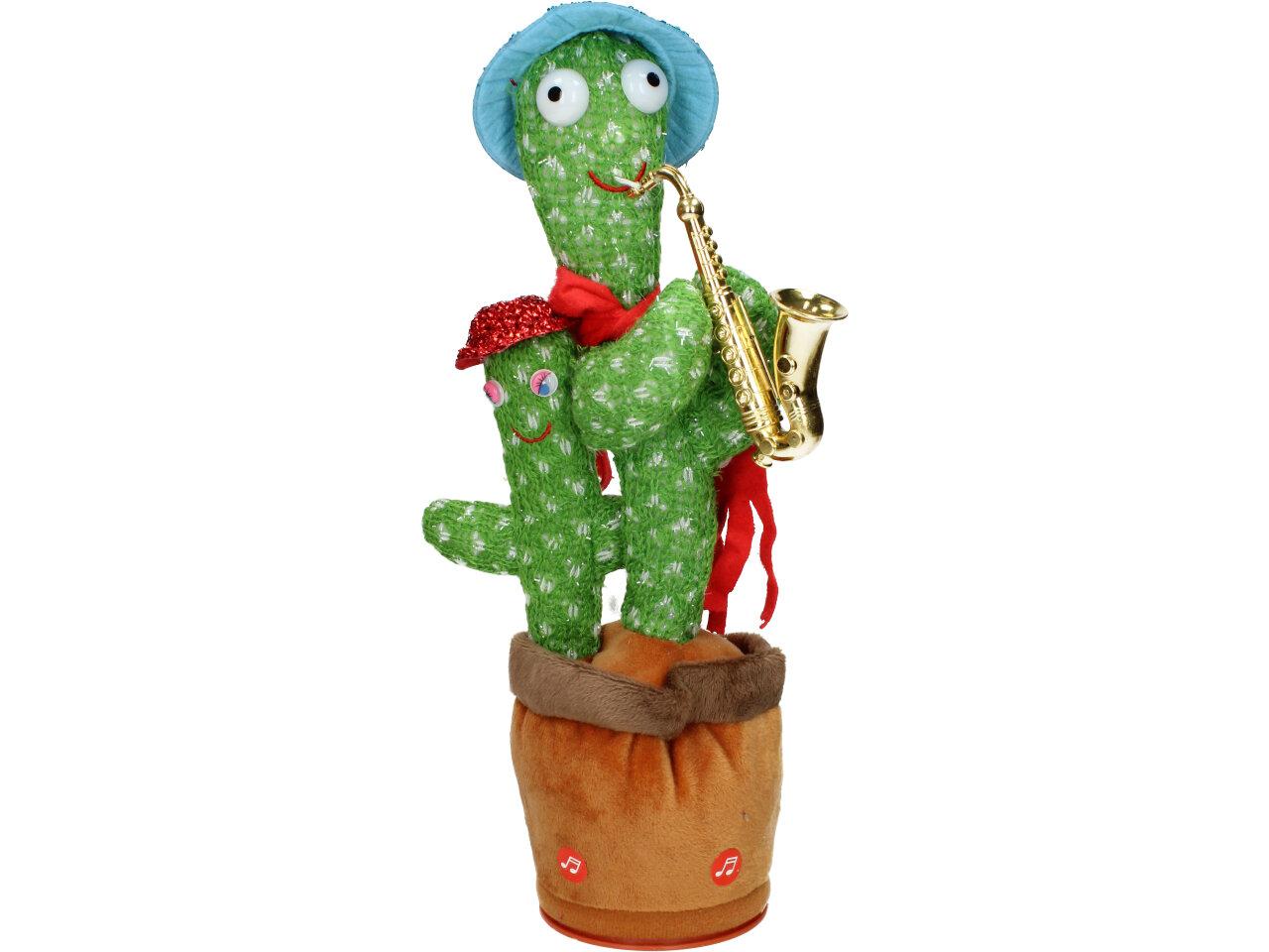 kaktus stirbt Tipps zur Pflege deiner Pflanze : Cactus – PflanzenFuerAlle main image 1
